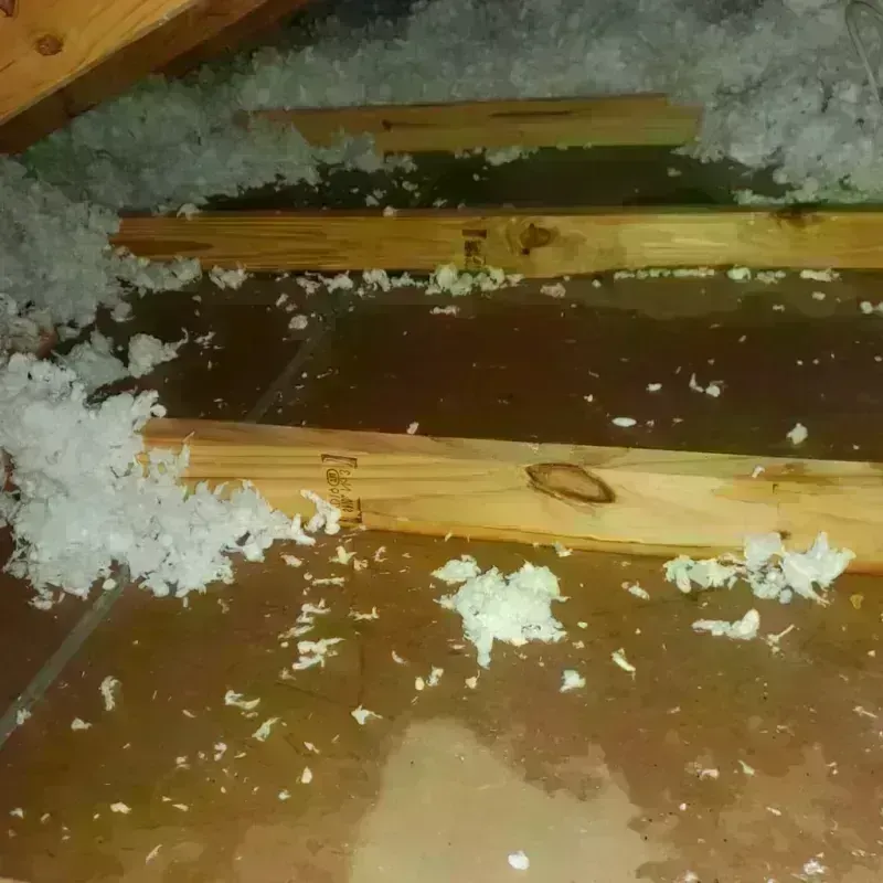 Attic Water Damage in Davison County, SD