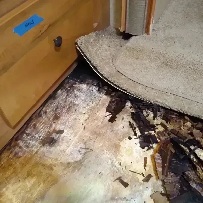 Wood Floor Water Damage in Davison County, SD